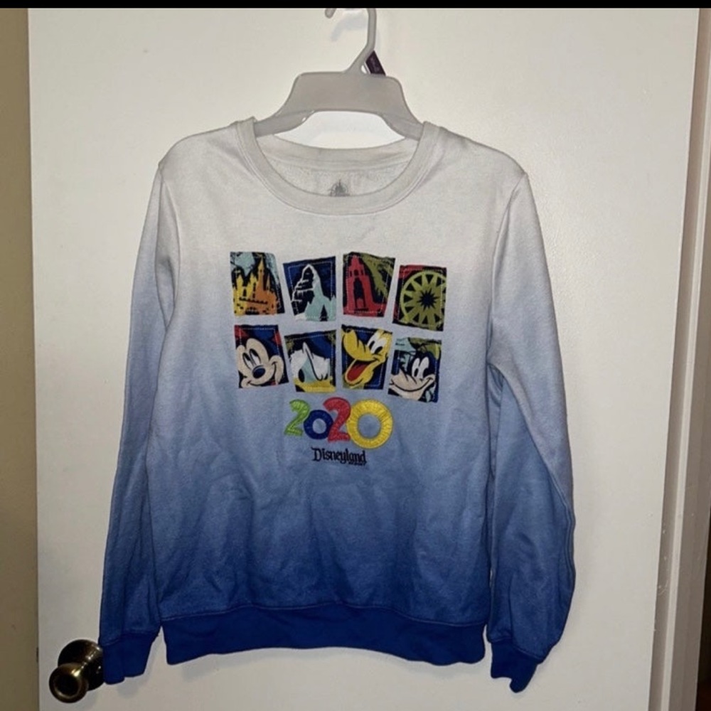 Disney Parks Sweatshirt